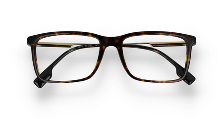 BURBERRY B 2339 3002