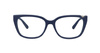 EMPORIO ARMANI EA 3109 5602