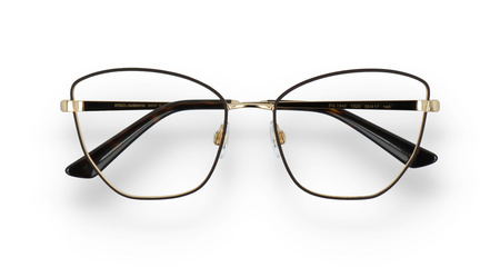 DOLCE&GABBANA DG 1340 1320