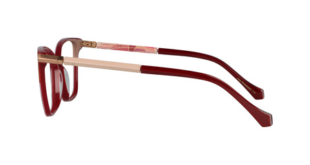 Ana Hickmann AH6455 P03