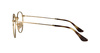 Ray-Ban RB3447V 2500