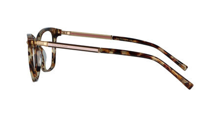 Ana Hickmann AH6360 G21