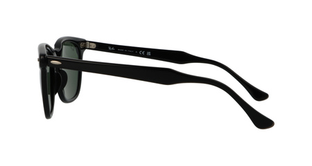 Ray-Ban RB2298 901/31