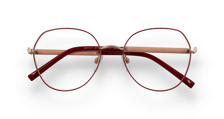 ANA HICKMANN AH1417 07A