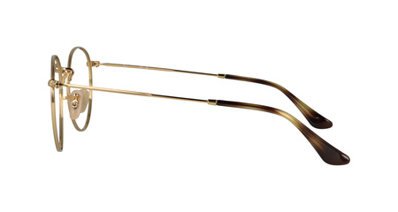 Ray-Ban RB3447V 2500