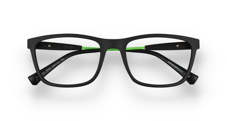 Emporio Armani EA 3165 5042