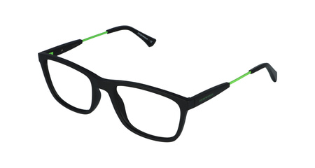 Emporio Armani EA 3165 5042