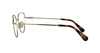 SWAROVSKI SK 1007 4013