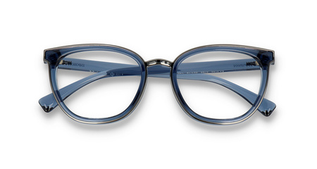 EMPORIO ARMANI EA 3155 5768