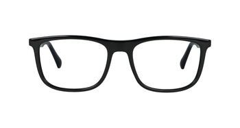 Emporio Armani EA 3170 5001