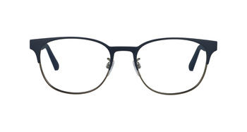 Emporio Armani EA 1139 3162