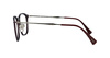 Ray-Ban RB8955 8031