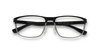 EMPORIO ARMANI EA 1071 3194