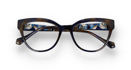 Ana Hickmann AH6458 G21