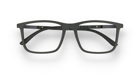 Emporio Armani EA 3181 5437