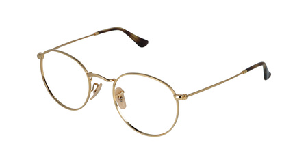 Ray-Ban RB3447V 2500