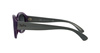 Ray-Ban RB4198 6046/71