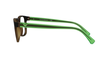 EMPORIO ARMANI EA 3108 5089