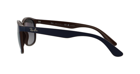 Ray-Ban RB4374 6601/M3