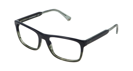 EMPORIO ARMANI EA 3120 5572