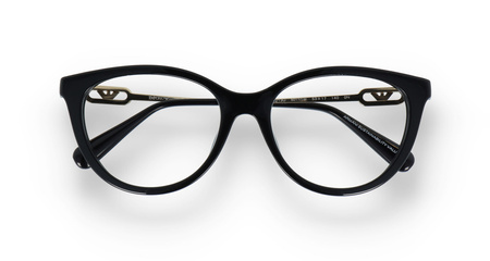 EMPORIO ARMANI EA 4213U 5017/1W