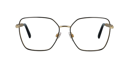 Dolce&Gabbana DG 1351 1334