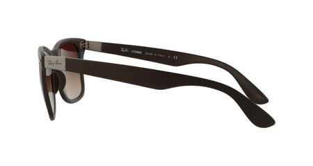 Ray-Ban RB4195 6033/13