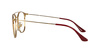 Ray-Ban RB6377 2910