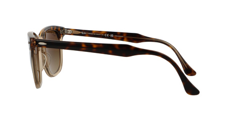 Ray-Ban RB2298 1292/M2