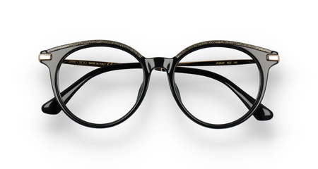 Jimmy Choo JC 254/F AE2