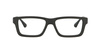 EMPORIO ARMANI EA 3019 5063