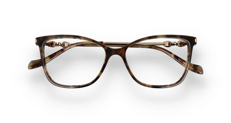 ANA HICKMANN AH6343 G23