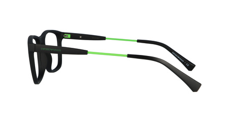 Emporio Armani EA 3165 5042