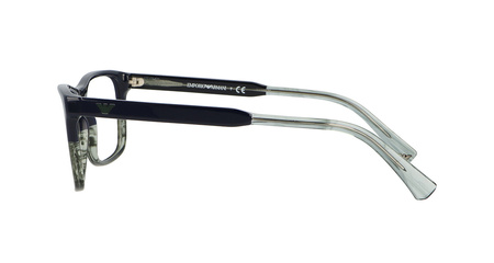 EMPORIO ARMANI EA 3120 5572