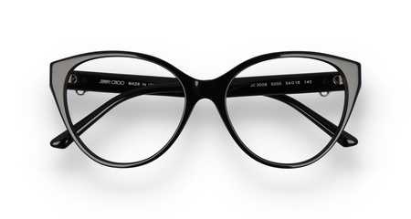 Jimmy Choo JC 3009 5000