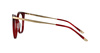 Hickmann HI6060 T03