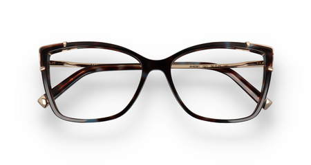 Ana Hickmann AH6381 G21