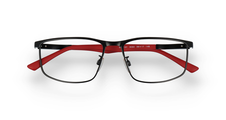 Emporio Armani EA 1131 3022