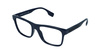 BURBERRY B 2353 3961