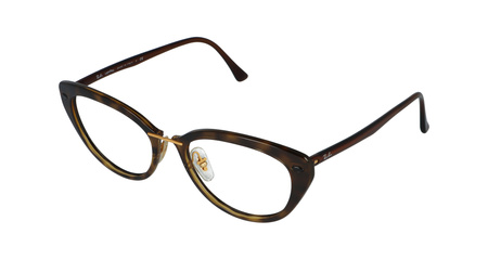 Ray-Ban RB7088 2012