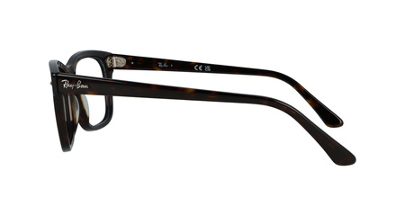 Ray-Ban RB5383 2012