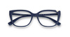 EMPORIO ARMANI EA 3109 5602