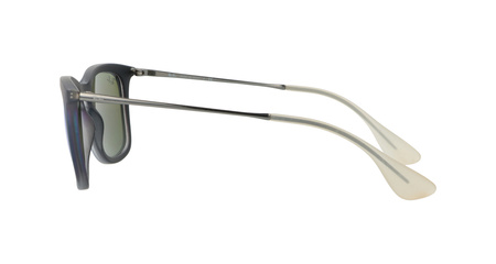 Ray-Ban RB4221 6170/55