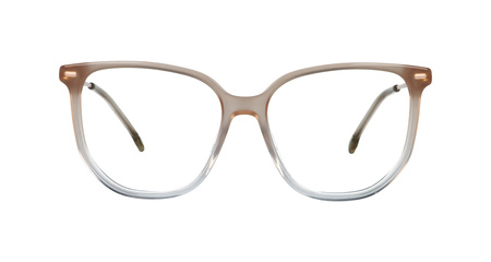 Carrera 3025 690