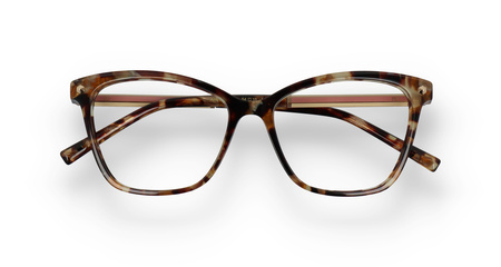 Ana Hickmann AH6360 G21