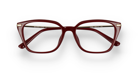 Michael Kors MK 4133D 4004