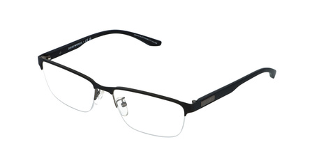 EMPORIO ARMANI EA 1147 3365