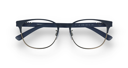 Emporio Armani EA 1139 3162