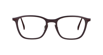 Ray-Ban RB8955 8031