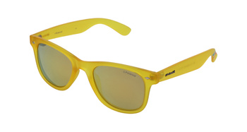 Polaroid PLD 6009/N M PVI LM